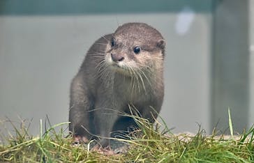 サンシャイン水族館に投稿された画像（2021/6/5）