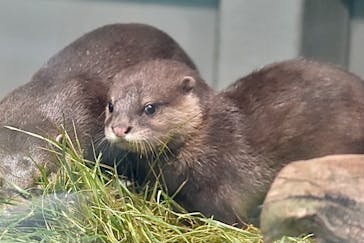 サンシャイン水族館に投稿された画像（2021/6/5）