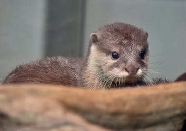 サンシャイン水族館に投稿された画像（2021/6/5）