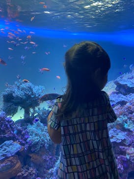 サンシャイン水族館に投稿された画像（2021/6/5）