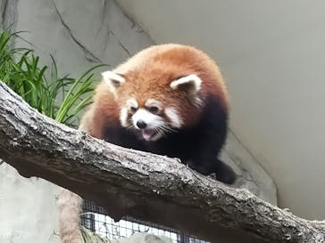 那須どうぶつ王国に投稿された画像（2021/6/5）