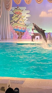 京急油壺マリンパークに投稿された画像（2021/6/5）