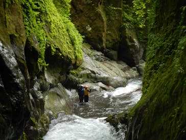 Nikko Jumbo（日光ジャンボ）に投稿された画像（2021/6/5）