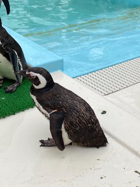 株式会社Gに投稿された画像（2021/6/5）