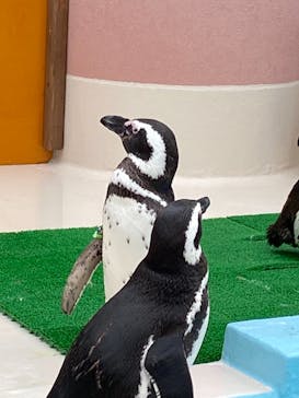 株式会社Gに投稿された画像（2021/6/5）