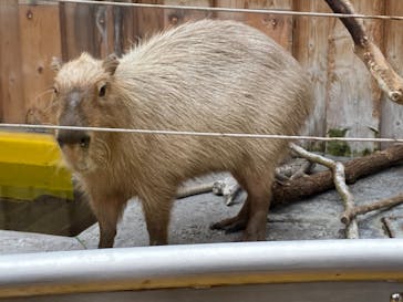 株式会社Gに投稿された画像（2021/6/5）