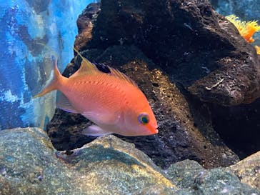 株式会社Gに投稿された画像（2021/6/5）