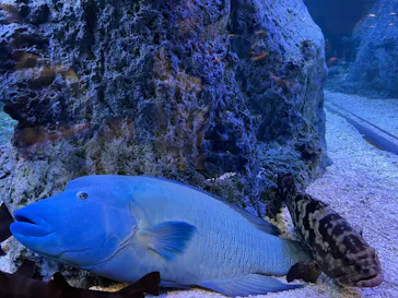 すみだ水族館に投稿された画像（2021/6/5）