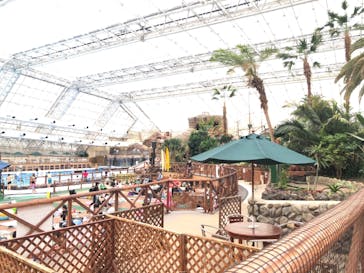 東京サマーランドに投稿された画像（2021/6/5）