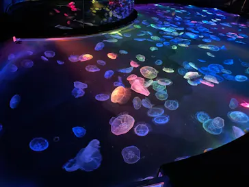 すみだ水族館に投稿された画像（2021/6/5）