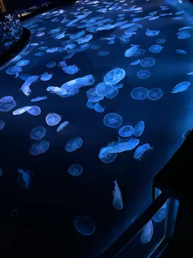 すみだ水族館に投稿された画像（2021/6/5）