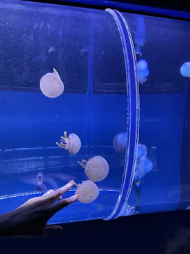 すみだ水族館に投稿された画像（2021/6/5）