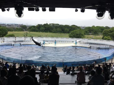 京都水族館に投稿された画像（2021/6/5）