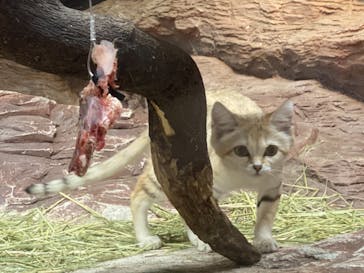 那須どうぶつ王国に投稿された画像（2021/6/5）