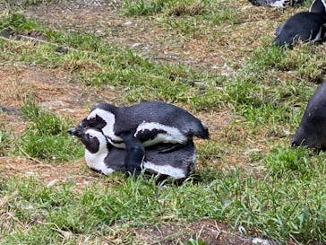 那須どうぶつ王国に投稿された画像（2021/6/5）