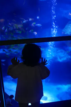すみだ水族館に投稿された画像（2021/6/5）