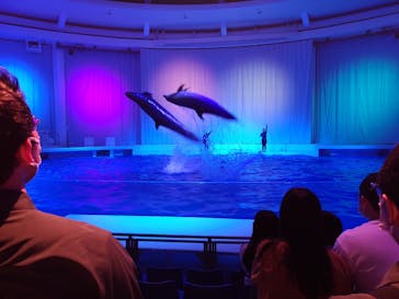 アクアワールド茨城県大洗水族館に投稿された画像（2021/6/5）