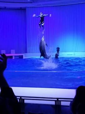 アクアワールド茨城県大洗水族館に投稿された画像（2021/6/5）