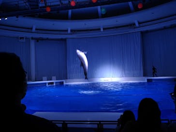 アクアワールド茨城県大洗水族館に投稿された画像（2021/6/5）