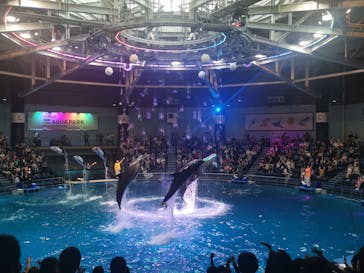 マクセル アクアパーク品川に投稿された画像（2021/6/5）