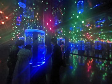 マクセル アクアパーク品川に投稿された画像（2021/6/5）