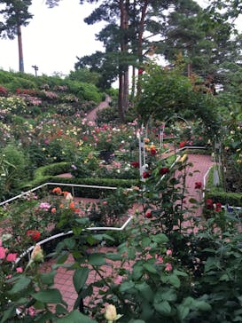 西武園ゆうえんちに投稿された画像（2021/6/5）