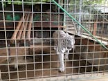しろとり動物園に投稿された画像（2021/6/6）