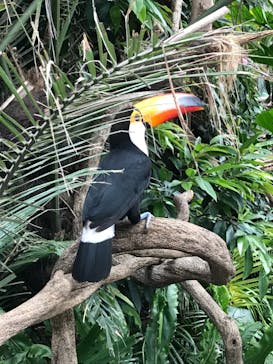 那須どうぶつ王国に投稿された画像（2021/6/5）