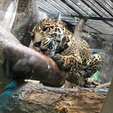 那須どうぶつ王国に投稿された画像（2021/6/5）