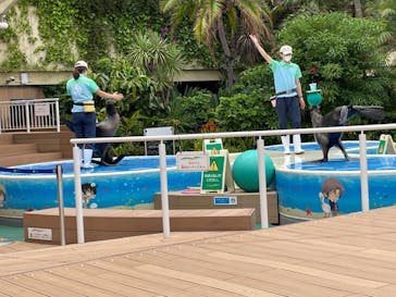 サンシャイン水族館に投稿された画像（2021/6/6）