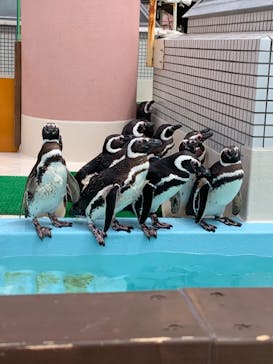 株式会社Gに投稿された画像（2021/6/6）