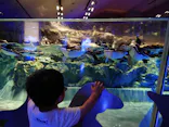 すみだ水族館に投稿された画像（2021/6/6）