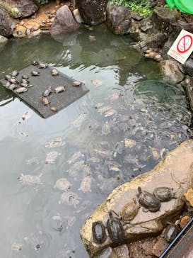 体感型動物園iZooに投稿された画像（2021/6/6）