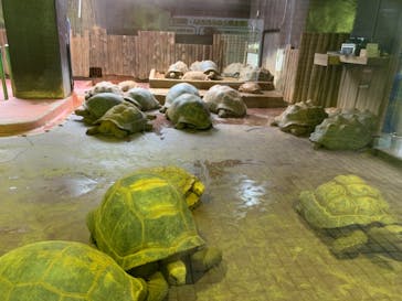 体感型動物園iZooに投稿された画像（2021/6/6）