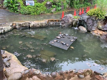 体感型動物園iZooに投稿された画像（2021/6/6）