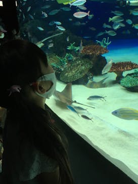 サンシャイン水族館に投稿された画像（2021/6/6）