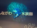 しながわ水族館に投稿された画像（2021/6/6）