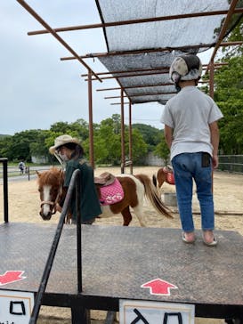 秋吉台自然動物公園 サファリランドに投稿された画像（2021/6/6）