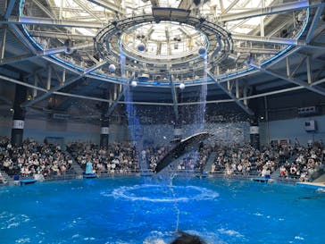 マクセル アクアパーク品川に投稿された画像（2021/6/6）