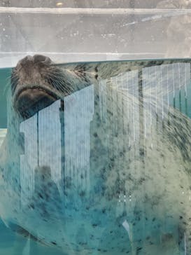 京都水族館に投稿された画像（2021/6/6）