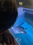 すみだ水族館に投稿された画像（2021/6/6）