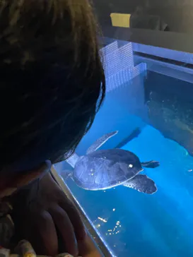 すみだ水族館に投稿された画像（2021/6/6）