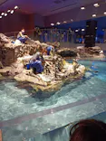 すみだ水族館に投稿された画像（2021/6/6）