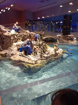 すみだ水族館に投稿された画像（2021/6/6）