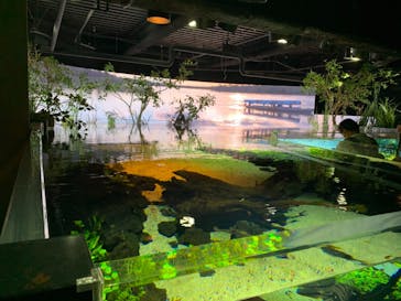 カワスイ 川崎⽔族館に投稿された画像（2021/6/6）