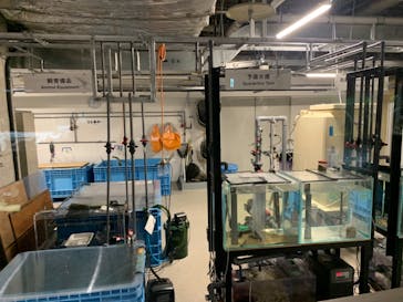 カワスイ 川崎⽔族館に投稿された画像（2021/6/6）