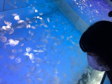 アクアワールド茨城県大洗水族館に投稿された画像（2021/6/6）