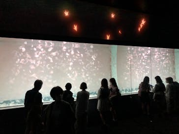 アクアワールド茨城県大洗水族館に投稿された画像（2021/6/6）