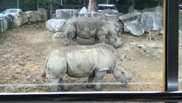 群馬サファリパークに投稿された画像（2021/6/6）