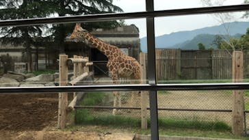 群馬サファリパークに投稿された画像（2021/6/6）